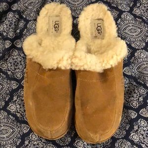 Ugg Clogs